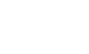 Home-Diego-Biz-Hack